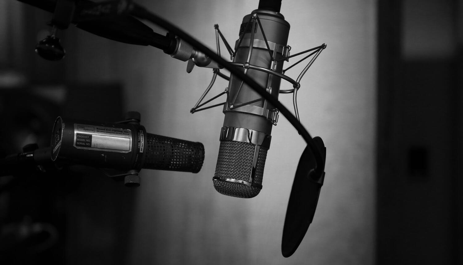 CanadianVoiceTalents.com